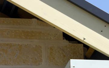 soffit repair Stoke Wake