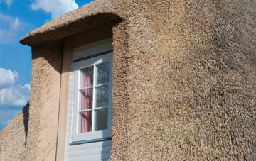 Stoke Wake thatch roof disadvantages