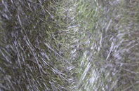 Stoke Wake fibreglass roof work